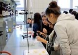 Nasz udział w projekcie: „Misja MED: odkrywaM, rozumiEm, Doświadczam” – ciąg dalszy